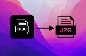 Cómo puedes convertir HEIC a JPG en 4 pasos