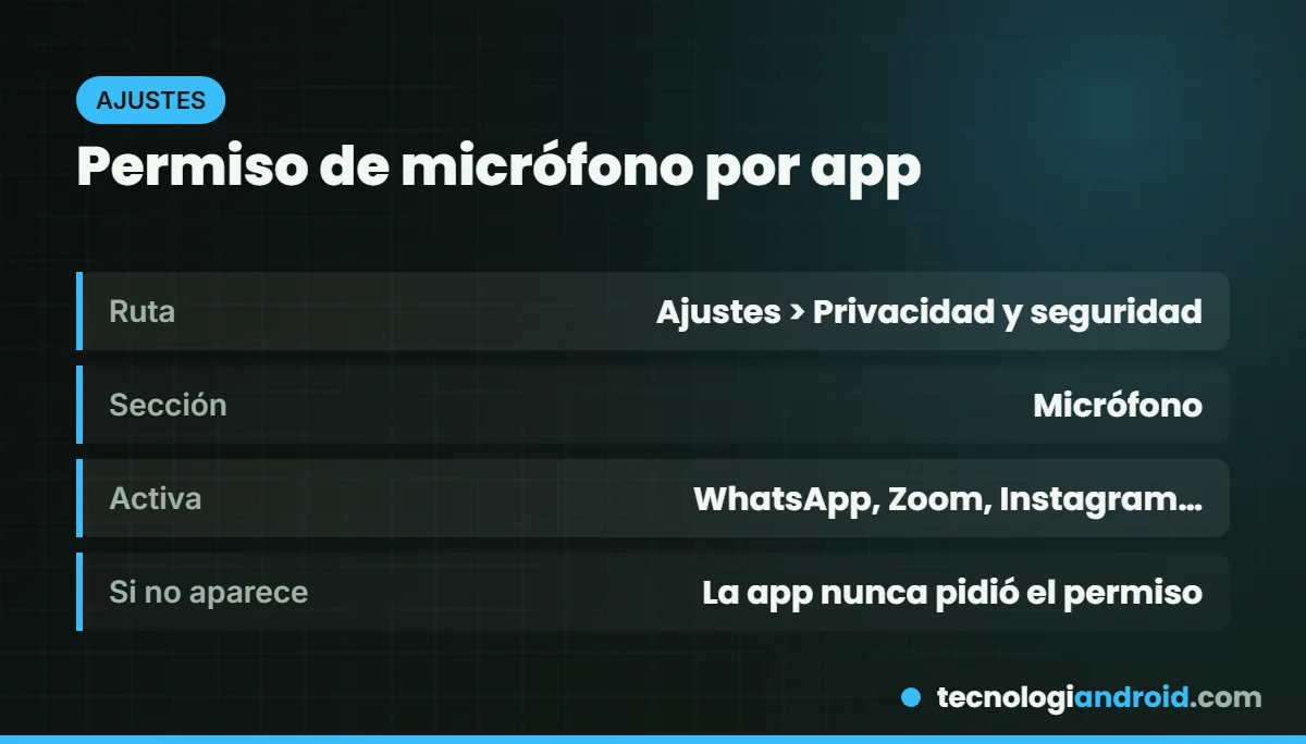 Cómo dar permiso de micrófono a una app en el iPad